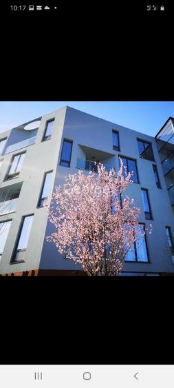 Vând Studio la Loft Green Apartment Mogoșoaia  - 14