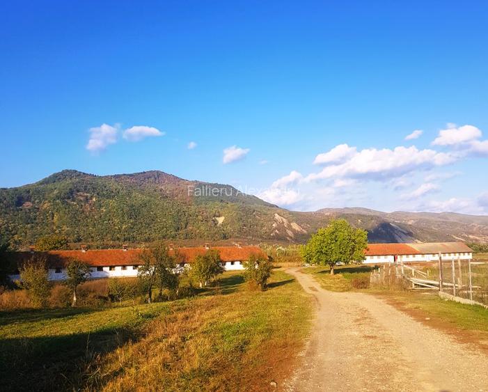Vand teren  500 m p , 1000 mp  , 17500 mp intravilan , negociabil. - 3