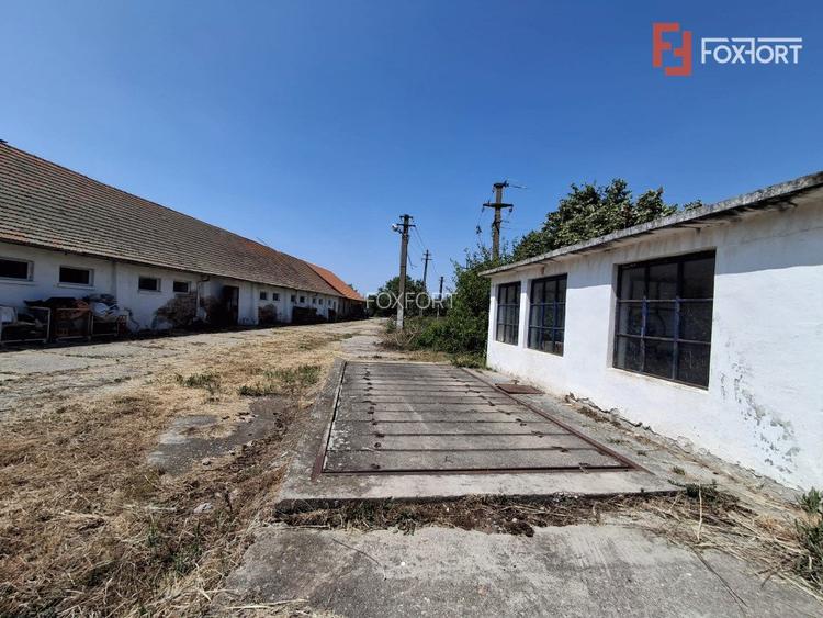 COMISION 0% Spatiu industrial de 695 mp si teren de 1821 mp - Giulvaz - 13