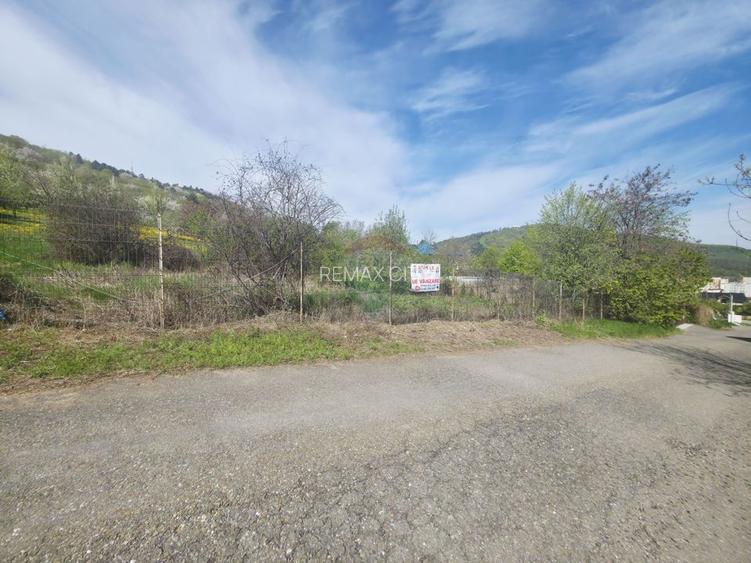 Teren 1,000mp Piatra-Neamt / Zona Fermelor - 3
