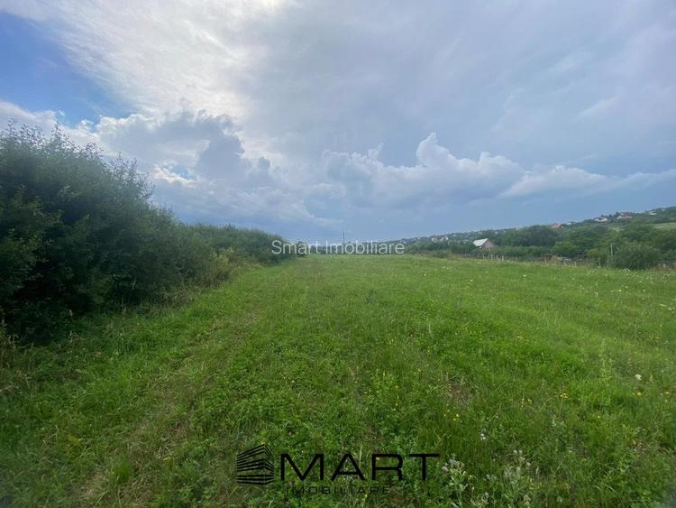 Teren 8000mp Daia noua - 2