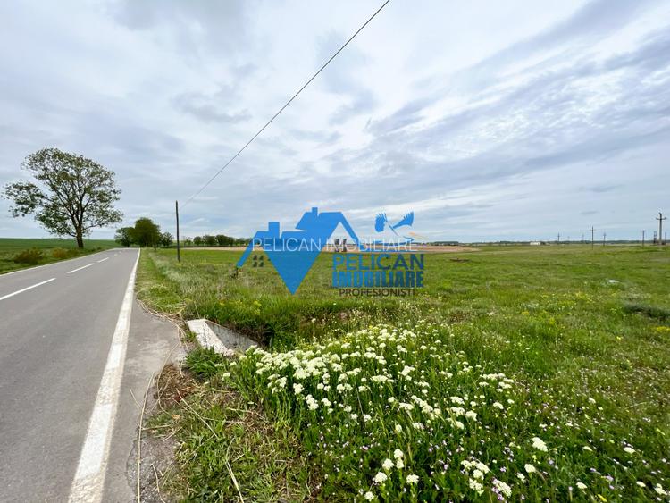 Teren Murighiol - Lacul Pietrei - locatie deosebita - 5