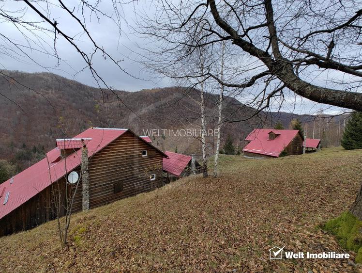 Oportunitate unica! 5ha + 2 cabane de vacanta in Valea Ierii - 2