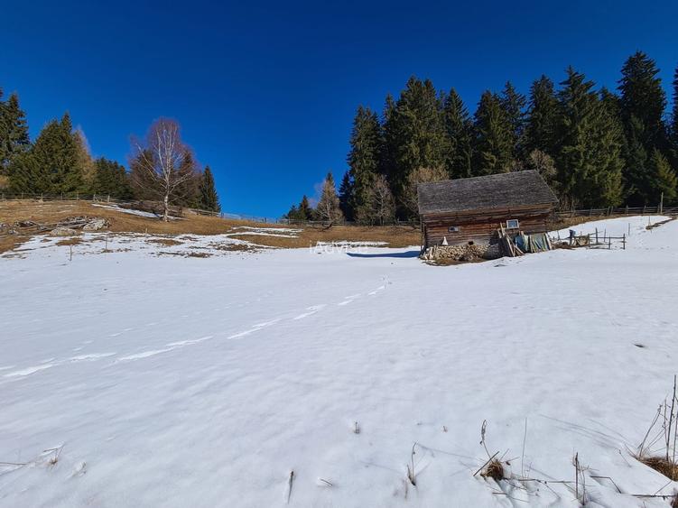 Teren situat langa padure de Vanzare - 4