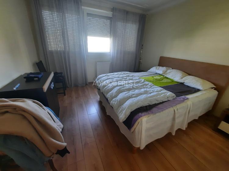 VANZARE 2 CAM  GIRGIULUI- DRUMUL GAZARULUI - 4