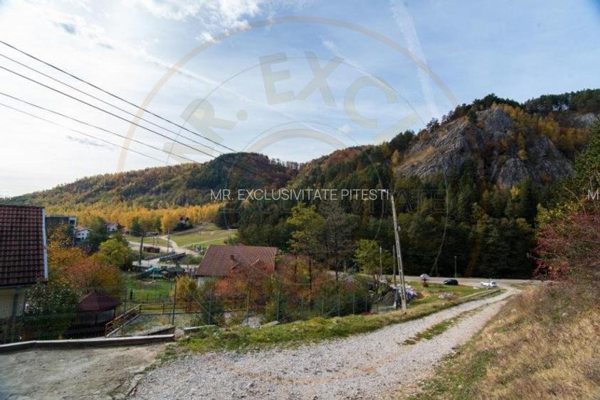 VANZARE / SCHIMB  PENSIUNE in zona de munte, langa Pestera Muierilor - 2