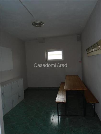 Hala de inchiriat in Aradul Nou - 10