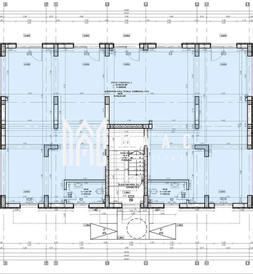 Spatiu Comercial I Open Space I 620mpu I Doamna Stanca - 4