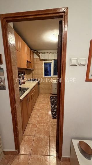 Lacul Tei,Teiul Doamnei,5 minute Parc Tei - 9