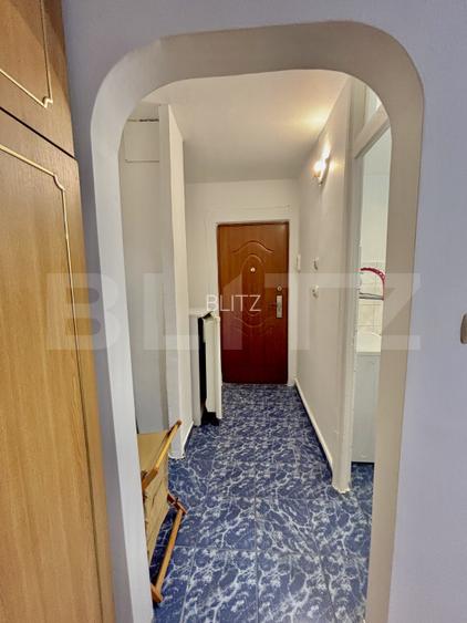 Apartament cu o camera, 28 mp, zona Lipovei - 4