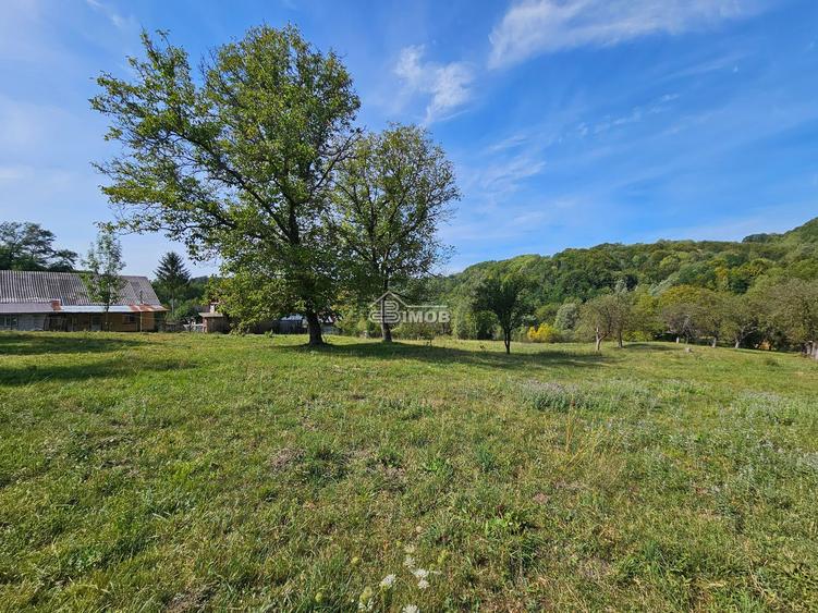 Teren 10.215mp langa padure | 4000 mp intravilan | Vulcana de Sus