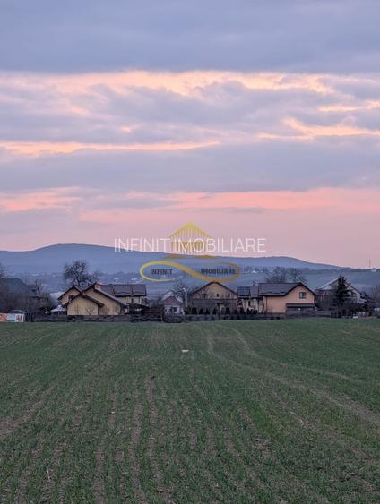TEREN INTRAVILAN IN LILIECI, BACAU - 5
