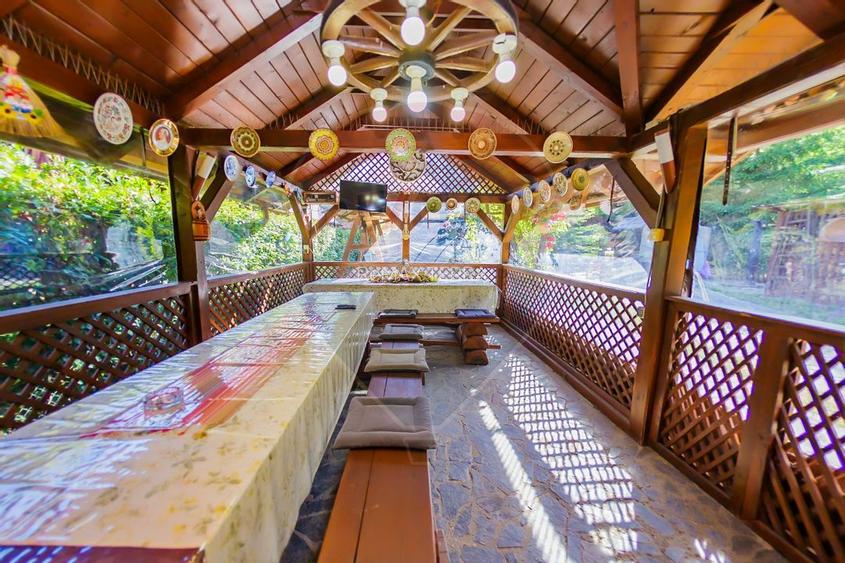 CASA DEOSEBITA DE VANZARE INTRERAURI, COAS - 9