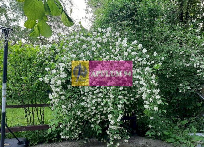 Casă de vânzare în Provița de Jos - 40