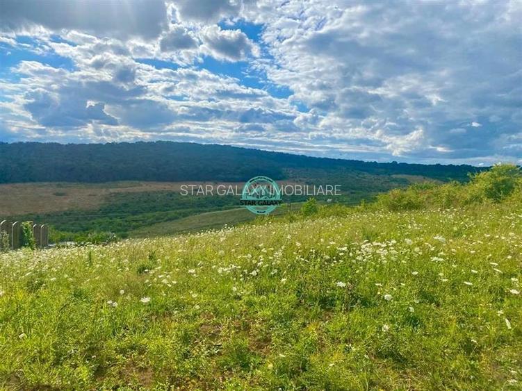 Vand teren intravilan cu suprafata 3300 mp in Livezeni - 2