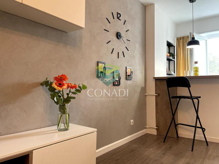 Garsoniera renovata modern str Nada Florilor - Teiul Domnei - 11