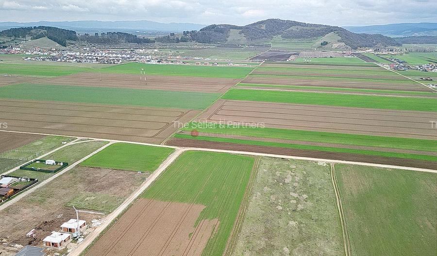 Teren intravilan - 16