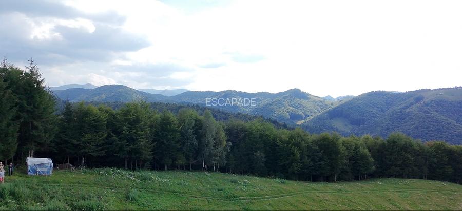 Teren superb extravilan, cu vedere la hotel Matca si muntii Bucegi - 6