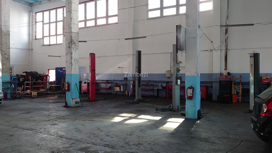 Hala 480mp, zona Complexul Studentesc - 10