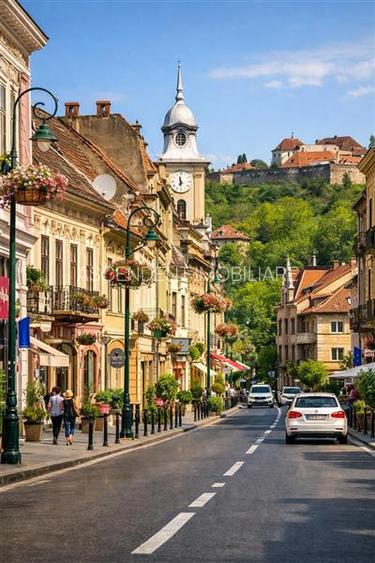 Preluare afacere pensiune administrare in regim turistic, Centrul Istoric - 2