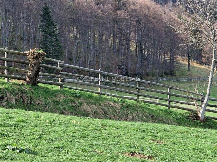 7.000 mp, pozitie spectaculoasa, fara vecini, Fundatica, Brasov - 2