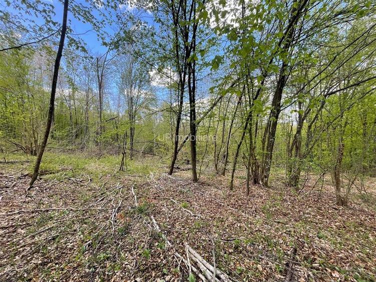 TEREN EXTRAVILAN | 103.000mp | BALANACA-GROSI | PASUNE | PASUNE IMPADURITA | BIH - 5