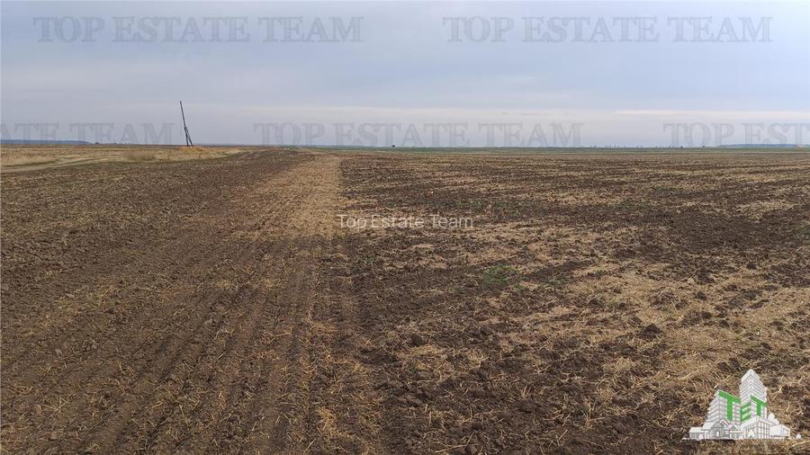 Oferim spre vanzare 6 loturi de teren extravilan (agricol) in Petrachioaia ILFOV - 10