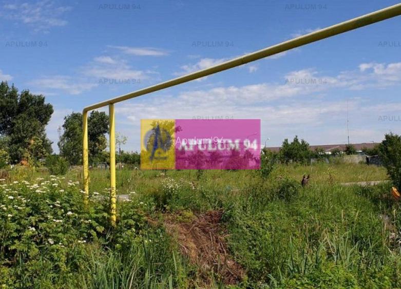 Teren construcție casă - 1 Decembrie - Zona Metropolitană București - 50