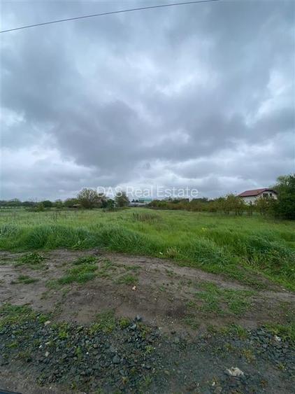 Teren intravilan | 3993 mp | Ciorogarla, Ilfov | Utilitati - 16