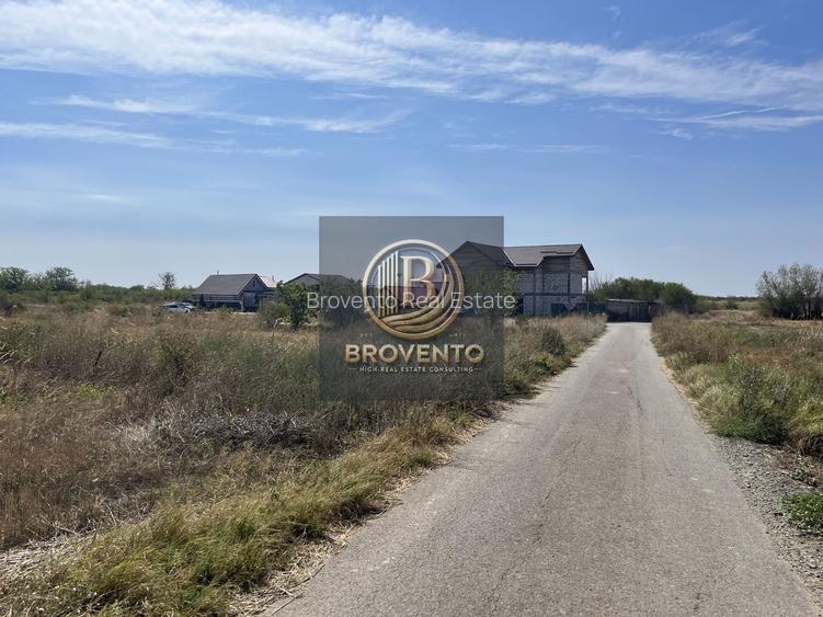 Teren Adunatii Copaceni-Strada Dealului - 3