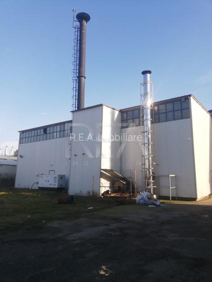 HALA FILIPESTII DE PADURE - complet echipata, pregatita pt productie sau depozit - 9