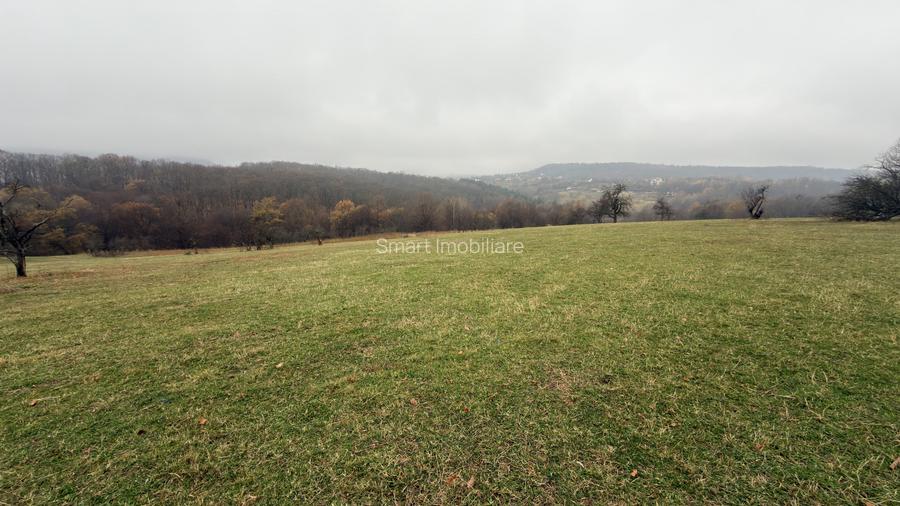Teren spectaculos 3,5HA zona Cisnadioara - 2