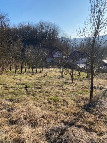 Oferta urgenta! Teren 2519 mp + constructie 68 mp — Pret atractiv - 8