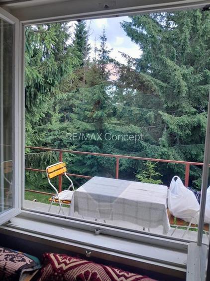 Cabană de vânzare în Muntele Băișorii – Zona Jera - 9