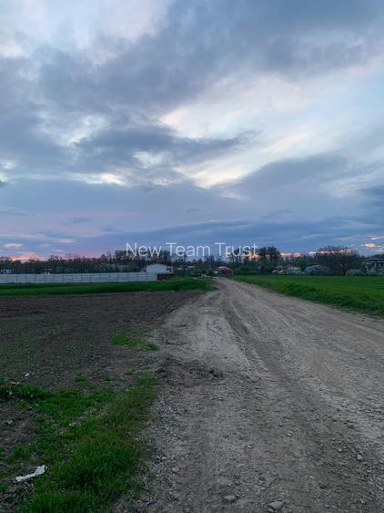 DJ200 Afumati Petrechioaia  Vanzare Teren intravilan -extravilan - 9