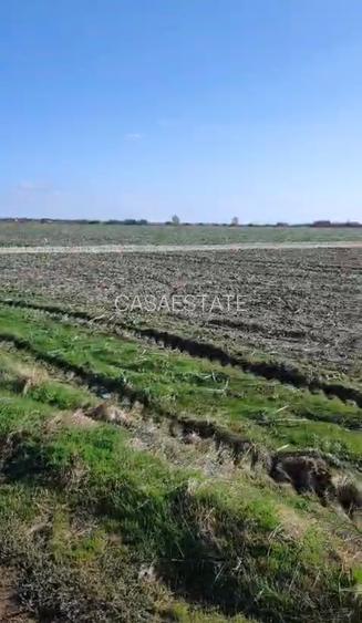 Vanzare teren Vidra Cartier Megaparc - 7