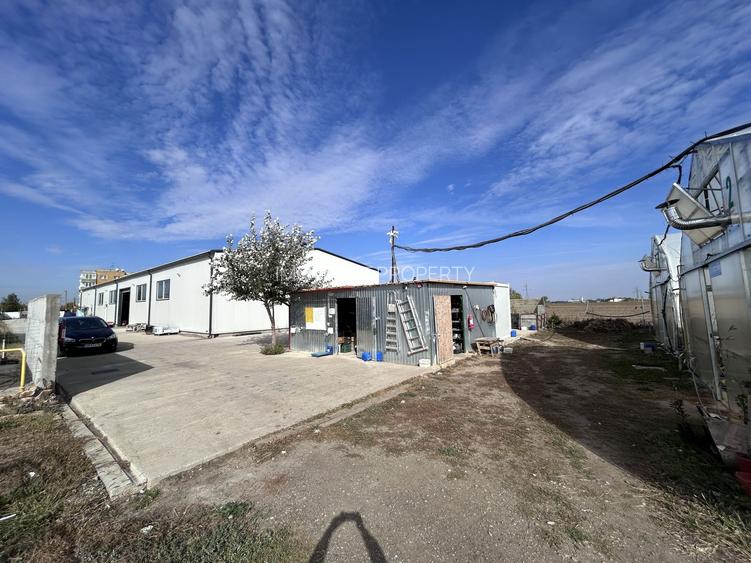 De vanzare-afacere la cheie - 6