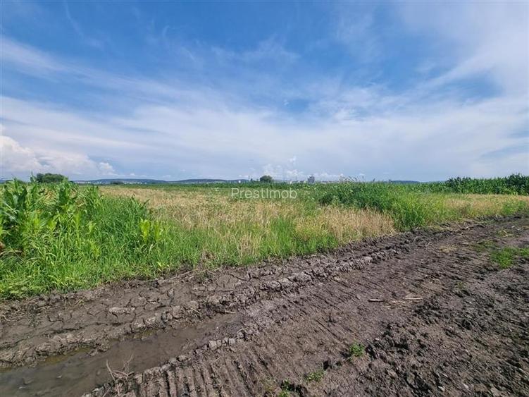 Parcele de vanzare de aprox 5 arii, 50 euro mp , Nazna, - 5