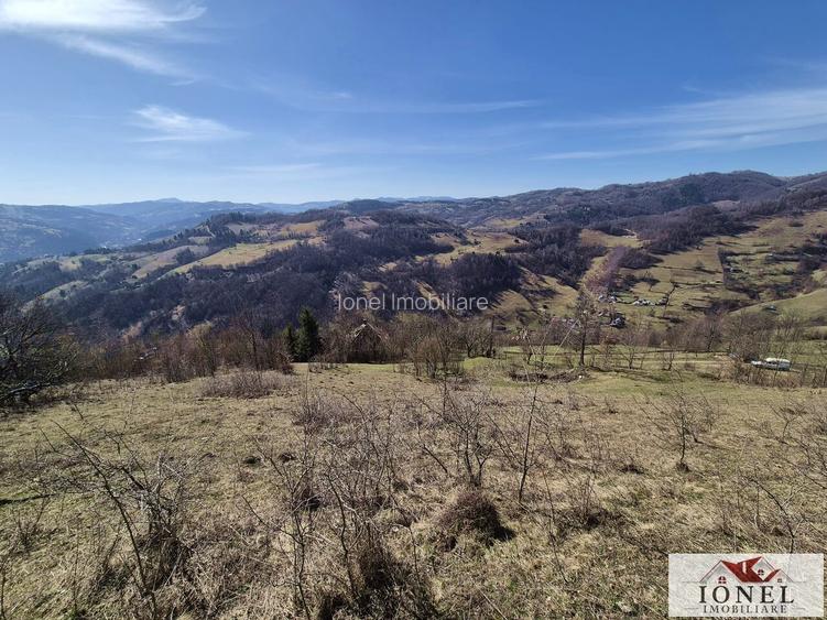 Casa de vanzare in Bistra - Apuseni - 10