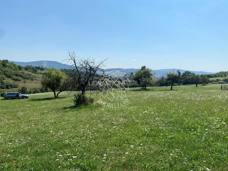 Teren 11.000 mp-ideal cabana/ferma-Unirea-Valea Slatinitei - 2