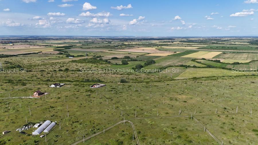 Terenuri zona  MOSNITA NOUA -  ALBINA . - 6