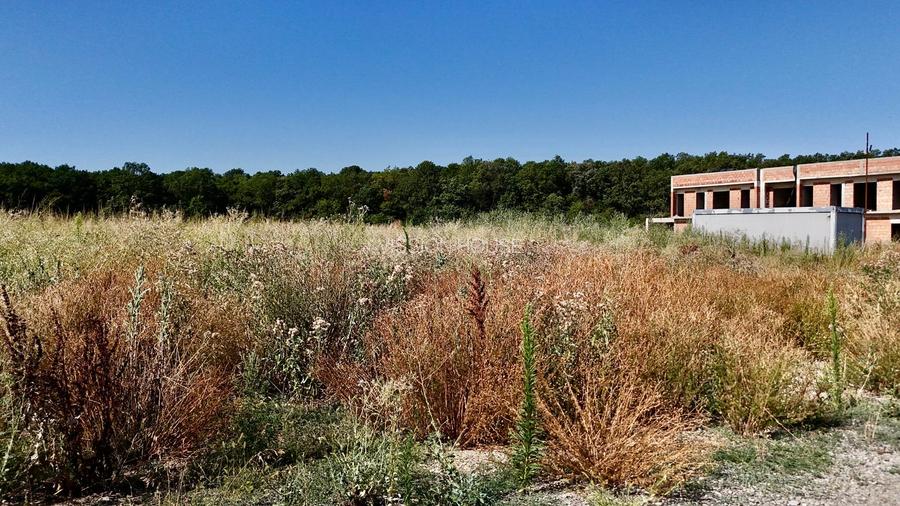 Teren 9400 mp Tunari | Padure | Tarla 39 - 4