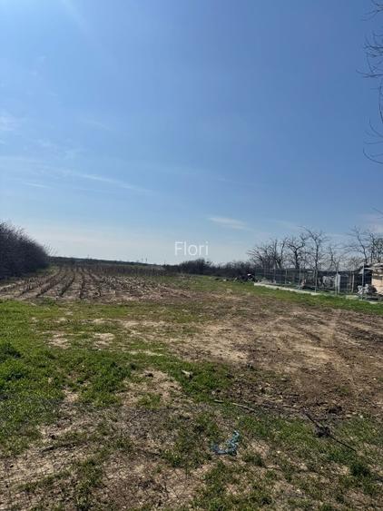 Vând lot teren 1.100 mp. Buturugeni/Giurgiu. URGENT!! - 2