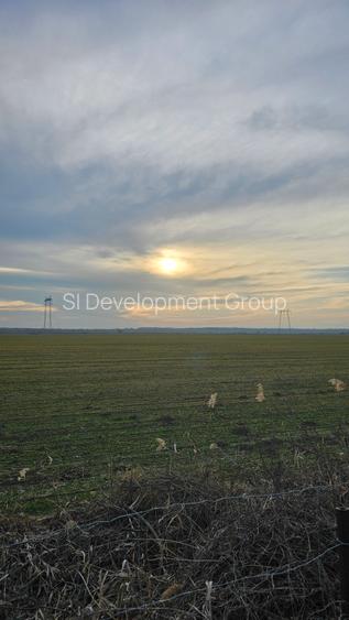 Comision 0% | Teren  30 hectare | Deschidere 550m A1 | Oportunitate investitie - 5