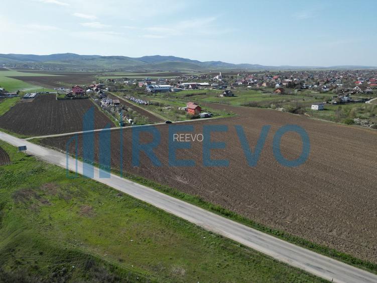 Teren de vânzare, Com. Nicolae Bălcescu, Jud. Bacău - 7