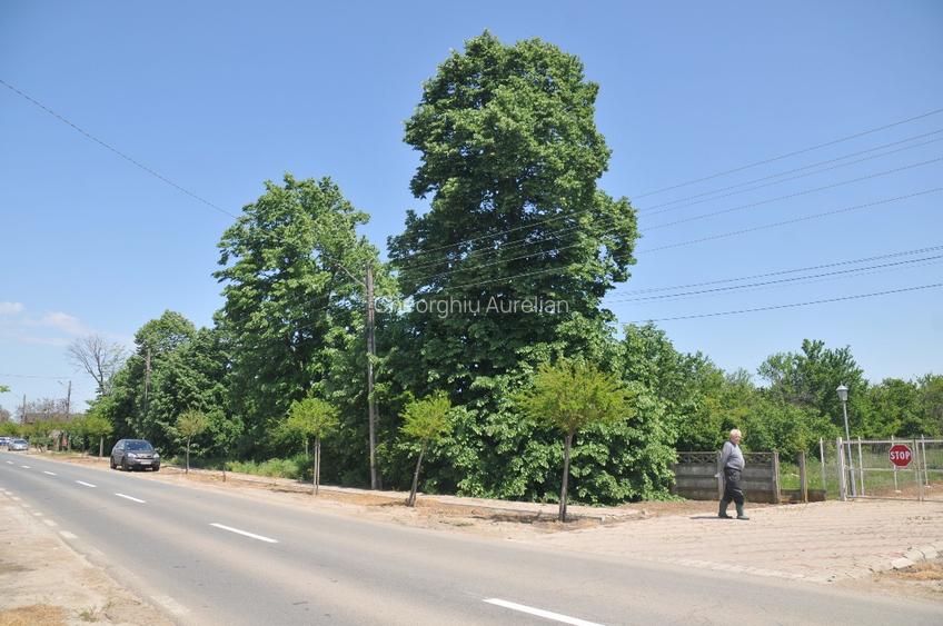  Teren 15000 mp,intravilan, deschidere 76 ml la DN 5A , com.  Hotarele,   - 4