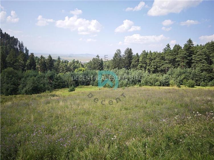 Teren Poiana Angelescu, Sacele, Brasov - 4