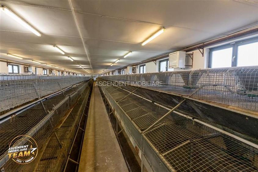 FILM! Ferma de iepuri,Malnas,Covasna: domeniu:comercial/industrial,asset UE - 30