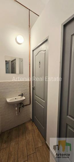 Pache Protopopescu/ 277 mp/ 12 birouri/ It /Creatie/ Reprezentanta - 18