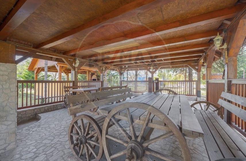 Casă / Vilă cu 16 camere de vânzare Sanmartin/Stefan cel Mare - 17